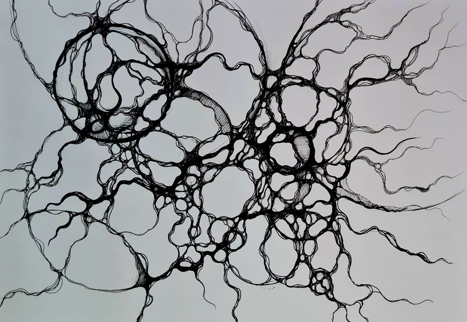 Rysunek neurograficzny oparty na kołach
